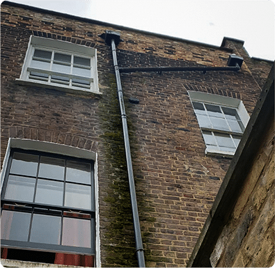 Why hire a damp proofing specialist in London?